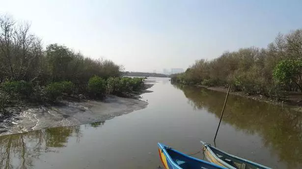 Thane creek soon to be Maharashtra’s first urban Ramsar site