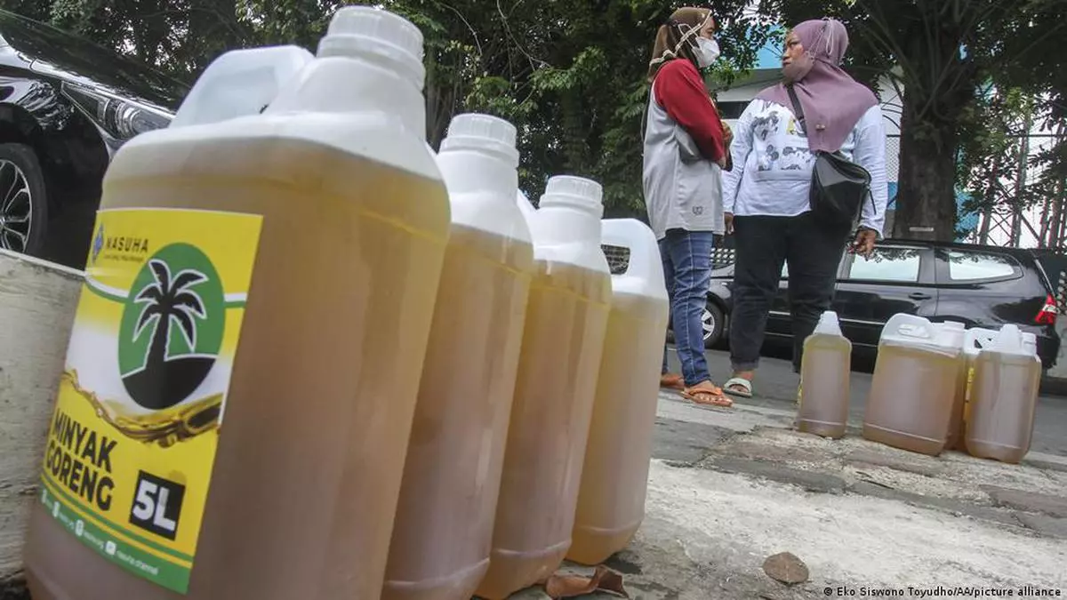 Indonesia palm oil export ban